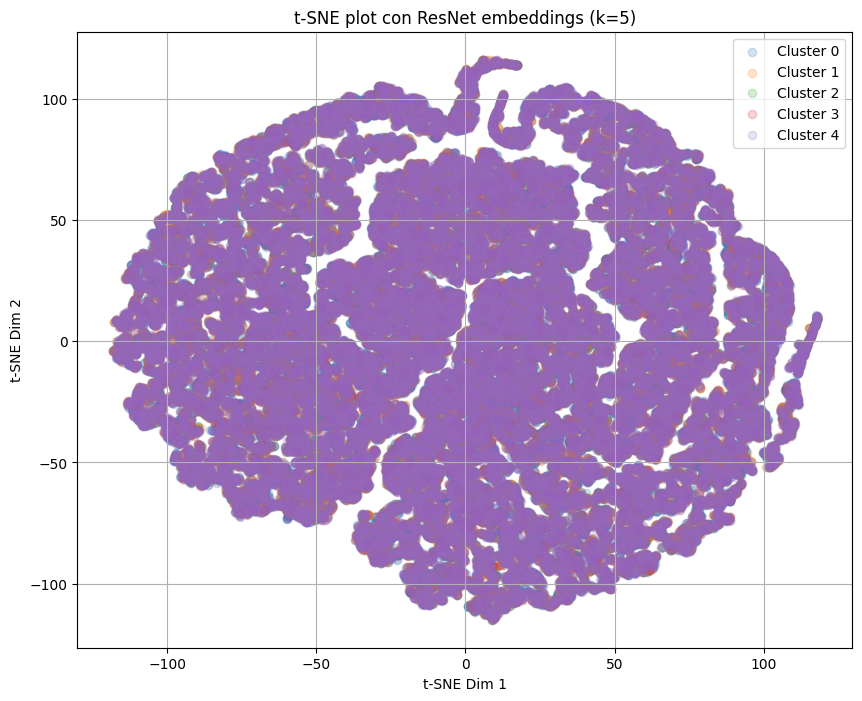 t-SNE plot with ResNet50 embeddings